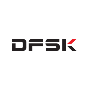 DFSK logo