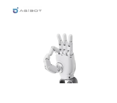 Agibot OmniHand 2025