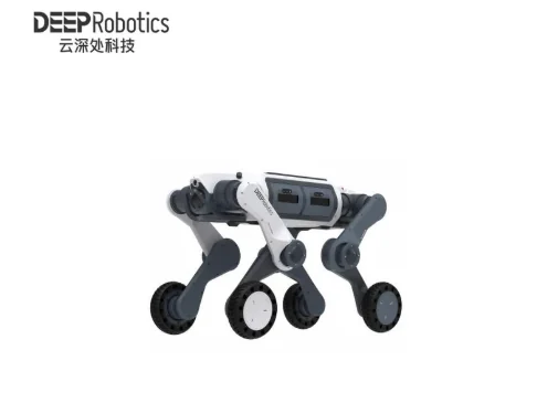 Deep Robotics LYNX M20 Robot